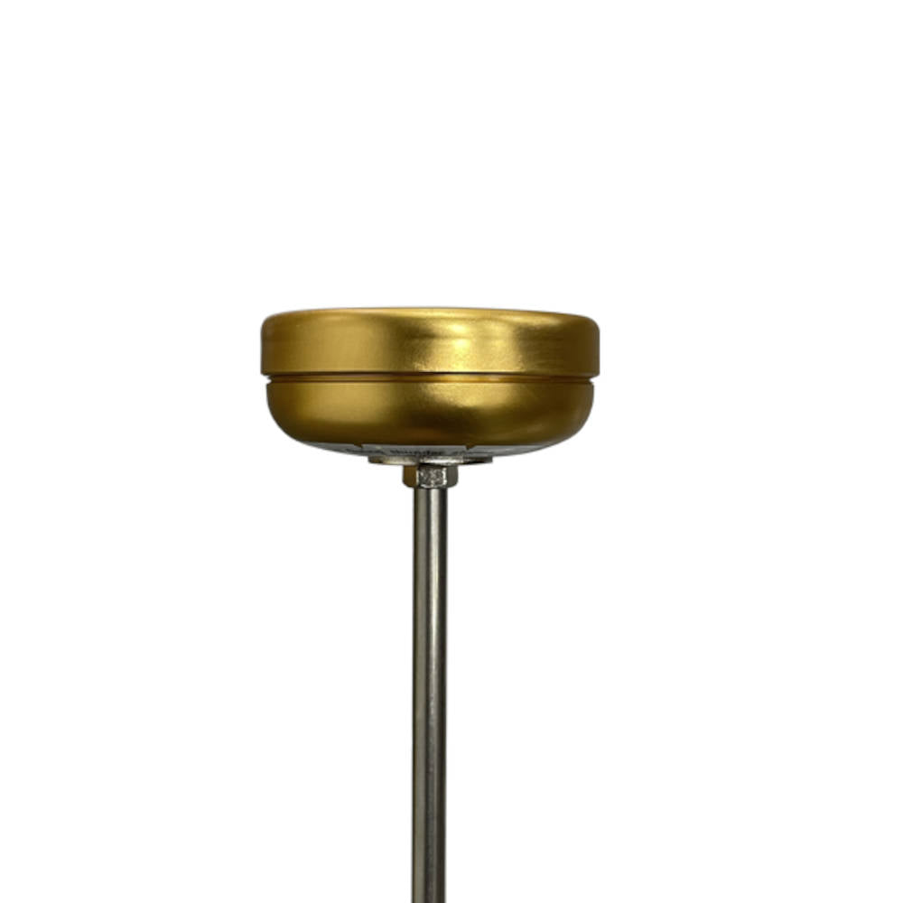 SubSurface Listening Stick for Leak Detectors